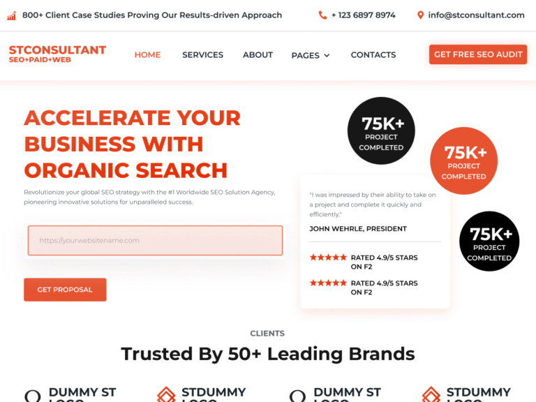 ST SEO Consultant